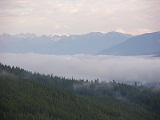 la nebbia p