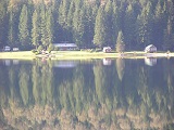 riflessi p