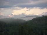 vista p