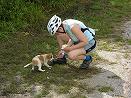 Il cagnolino
