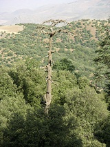 marocco non solo deserto p